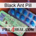 Black Ant Pill new02